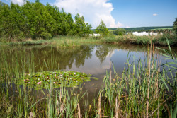 Nadace Partnerství zahájila přihlašování do pátého ročníku soutěže Adapterra Awards