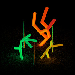 Živý les v parku Stromovka, Kateřina Blahutová.