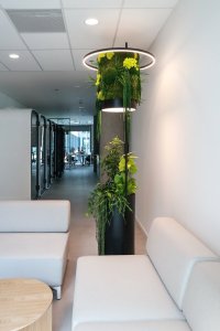 Jungle Raketa je vhodná pro kanceláře a coworkingy, kde vegetace podporuje koncentraci a pocit pohody.