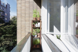 Byt Vinohrady I, 0,5 Studio/ MgA. Pavel Nový, MgA. Vít Svoboda