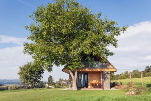 ov-a, Dům u Železného Brodu – foto