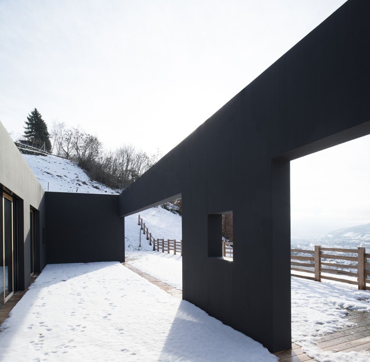 Vila P, Bergmeisterwolf