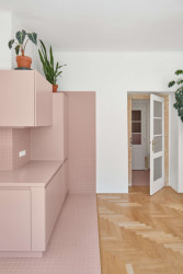 Ateliér Neuhäusl Hunal proměnili žižkovský byt na garsonku se spacím pódiem