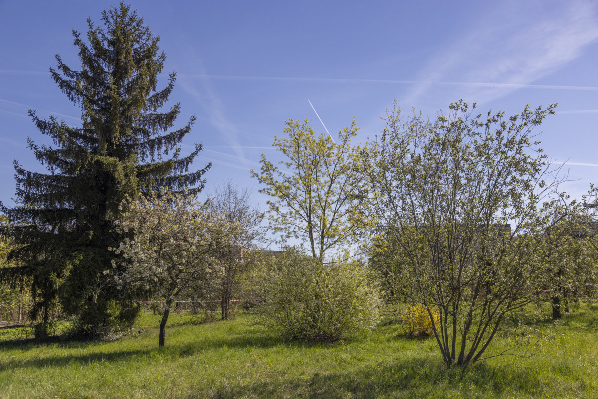Pozůstatky zahrádkářské kolonie jsou jedna z mála autentických stop historie. (Proměna zahrádkářské kolonie na park v Praze; Terra Florida)