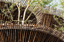 EXPO 2015, Vietnamský pavilon - foto