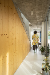 Pod schodištěm vznikl úložný prostor, který je zakrytý masivní smrkovou biodeskou. (Úzký patrový dům v Žilině, architektonické studio treea - architekt Peter Kasman.)