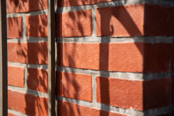 Cihelné zídky postavené z tradičních cihel z Cihelny Kadaň vytváří reprezentativní vstupní prostor, ladící s architekturou domu.