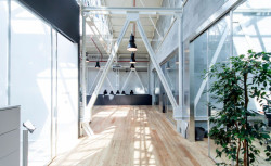 majo architekti, Kanceláře Apiary – foto