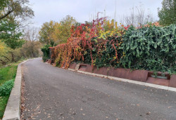 5. prosince proběhne v kině Světozor dvojpřednáška s názvem Ozeleňování měst s amsterdamským krajinářským architektem Tonem Mullerem a tuzemským krajinářským architektem Štěpánem Špoulou.