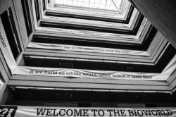 Šimon Knettig je na Fakultě architektury ČVUT v Praze pravou rukou hostujícího architekta Winyho Maase