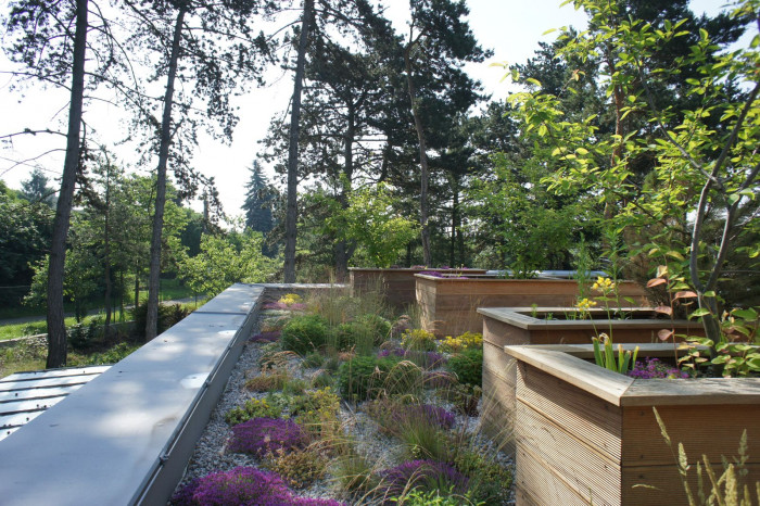 Šmídová Landscape Architects, Zahrada v Řeži, foto