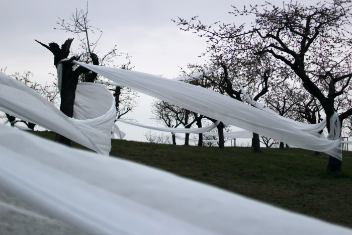 Landartová instalace Třešňovka, Tomáš Kodet.