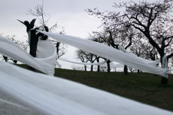 Landartová instalace Třešňovka, Tomáš Kodet.