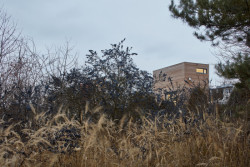 Freedomek no.061, ateliér Štěpán