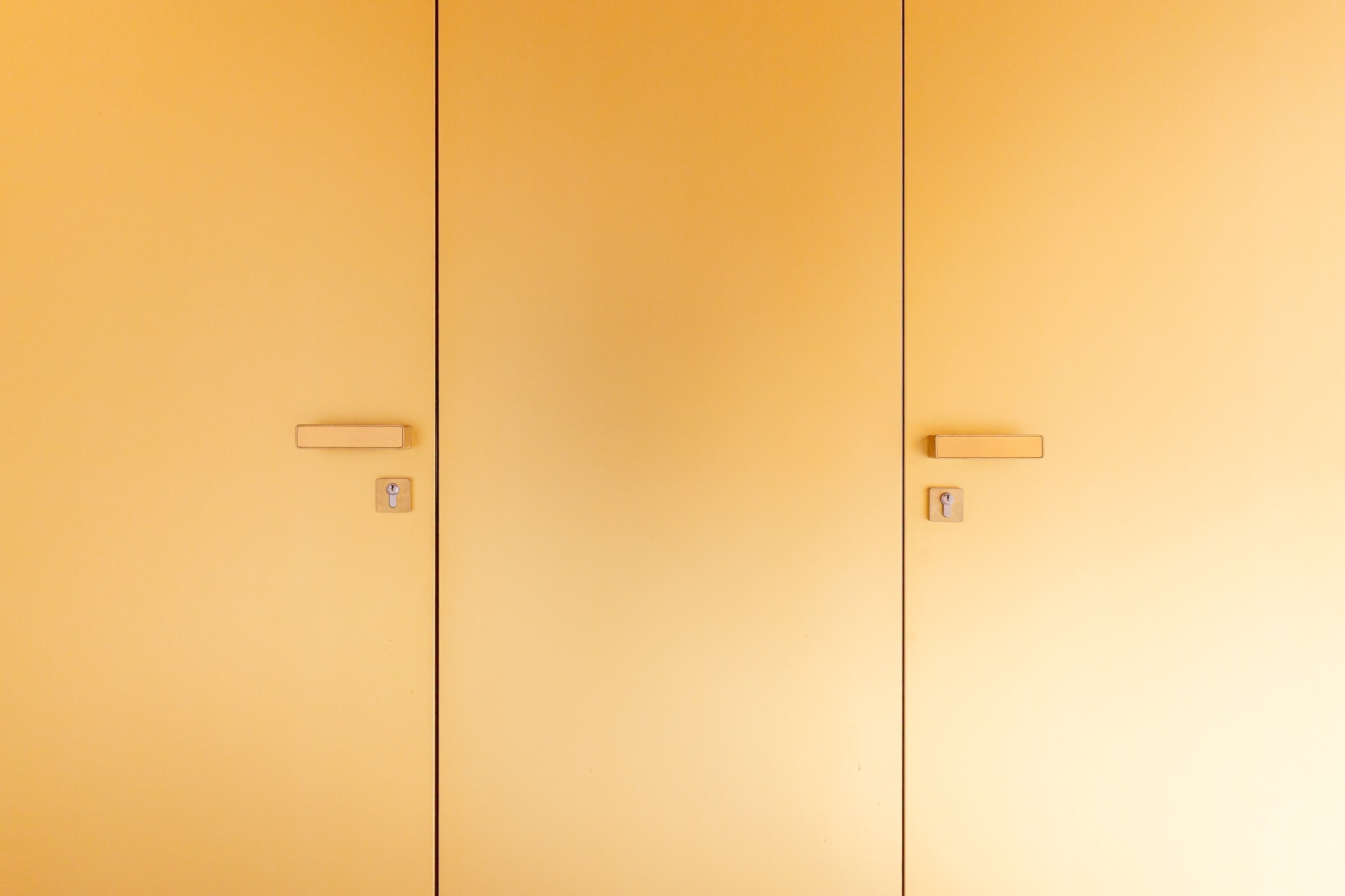 Dveře a skryté zárubně od SAPELI