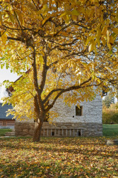 Lenka Míková, rekonstrukce usedlosti v Jižních Čechách
