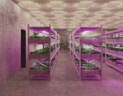 V kategorii ateliérové práce prvního ročníku vyhrála Natálie Finsterlová s návrhem podzemního krytu – útočiště před válkou