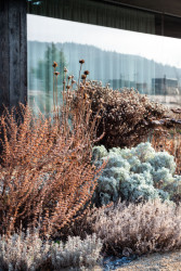 Zahrada rodinného domu u vodní nádrže Kamýk od Atelier Flera