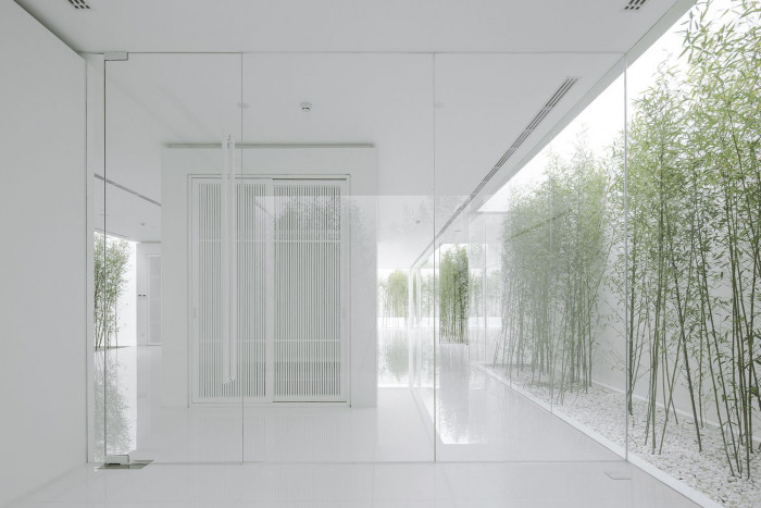 Bamboo Forest, V Studio