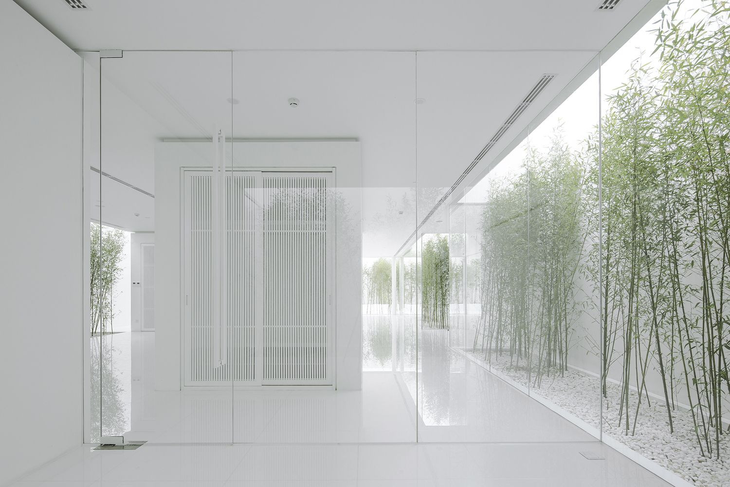 Bamboo Forest, V Studio