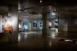 Les je tématem letošního 24. ročníku Designbloku