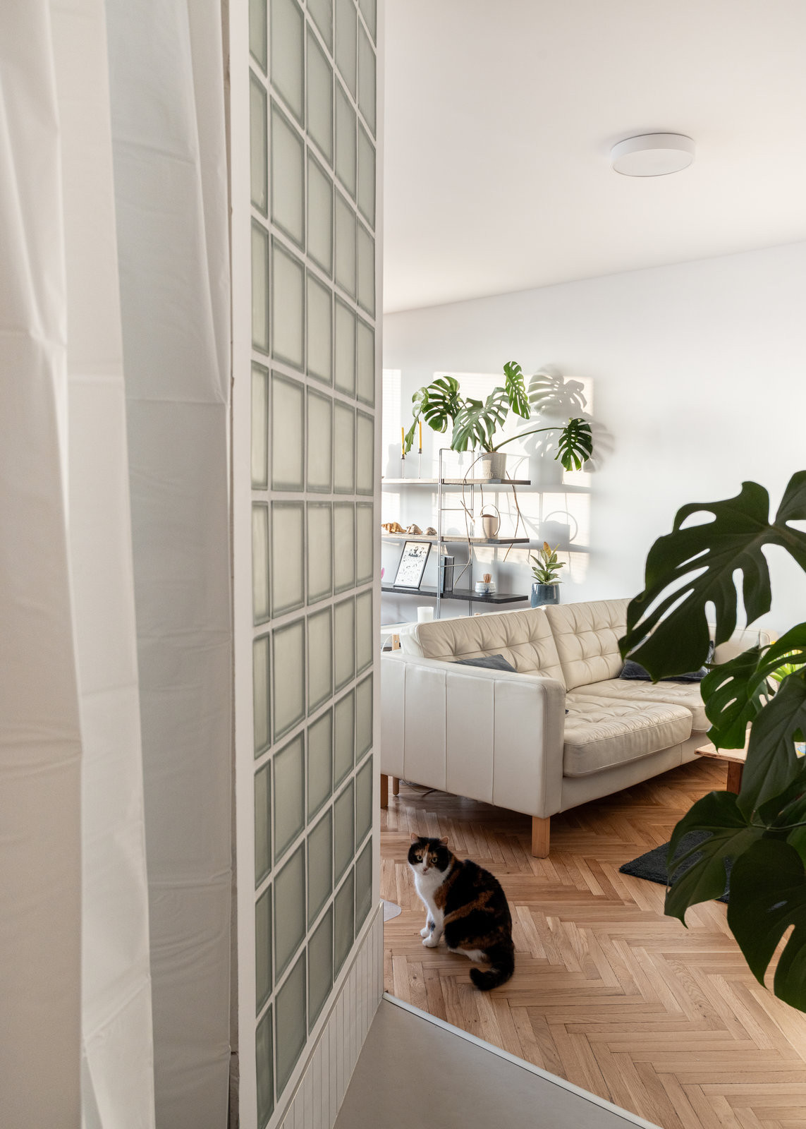 Rekonstrukce bytu v panelovém domě je prvotina mladých architektů Patrika Platila a Marka Petříka z ateliéru P2P. (Rekonstrukce bytu v panelovém domě v Praze na Gutovce; P2P.)