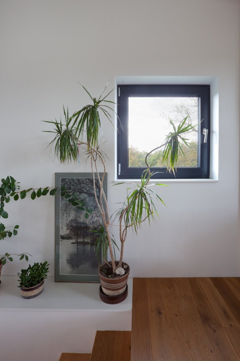 Rodinný dům v Úněticích, Mimosa architekti