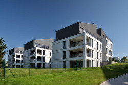 BD Krásnopolská, ATELIER 38