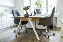 Studio Schwestern, Dětská ordinace v Revoluční – foto