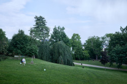 Obnova Riegrových sadů, Matouš Jebavý