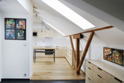 Neuhäusl Hunal, rekonstrukce podkrovního bytu, foto