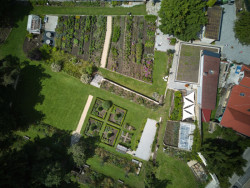 Rostliny se tu nejenom prodávají, ale také pěstují a veřejnost se tak může seznámit s lokální a sezónní produkcí květin. (Krafferova zahrada v Jindřichově Hradci od matěj šebek architekti a Ateliér Za Mák)