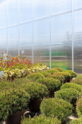 Detail polykarbonátové stěny