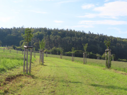 Komplex protierozních opatření ve Vohančicích od atliéru Zahradní a krajinářská tvorba