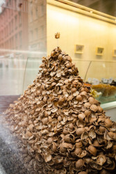 Soutěž o nejlepší výlohu vyhrála hravá instalace hory skořápek od designérek Adély Kadlčákové a Marie Sixtové.