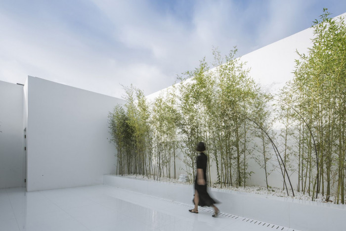 Bamboo Forest, V Studio