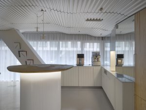 Kancelářské prostory a showroom developerské společnosti Satpo, Daniela Polubědovová