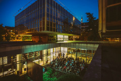 Letní kino v CAMPu.