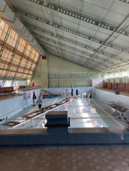 Výstavu studentských projektů VUT reagujících na klimatické změny je možné navštívit do konce srpna