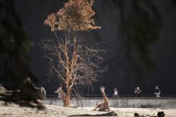 Afrykarium ve Vroclavi