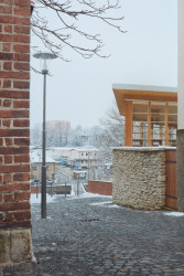 Altán městské knihovny ve Vamberku, Martin Kožnar