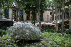 Subtile, Federico Díaz,