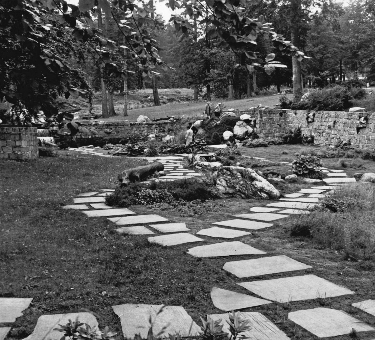 Karlova studánka