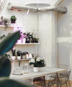 Urban Café, Praha, 2017, spolupráce Anna Mikulenková. Foto Jan Maštera