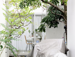 Moriyama House v Tokiu od architekta a spoluzakladatele studia SANAA Ryue Nishizawy