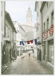 UNES-CO, Kateřina Šedá