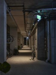 Terasový dům v Sydney od studia Austin Maynard Architects