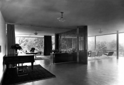 Z publikace Ludwig Mies van der Rohe / Vila Tugendhat v Brně – foto