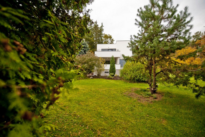 Rekonstrukce vily Propast, Adam Rujbr Architects