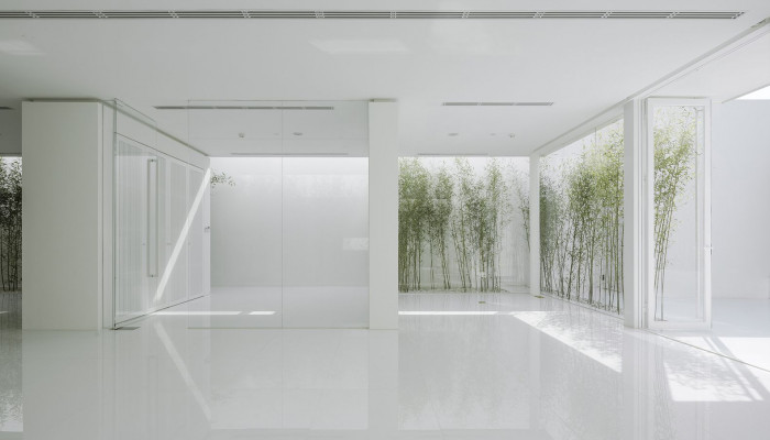Bamboo Forest, V Studio